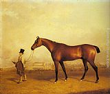 Emlius, Winter of the 1832 Derby, held by a Groom at Doncaster
